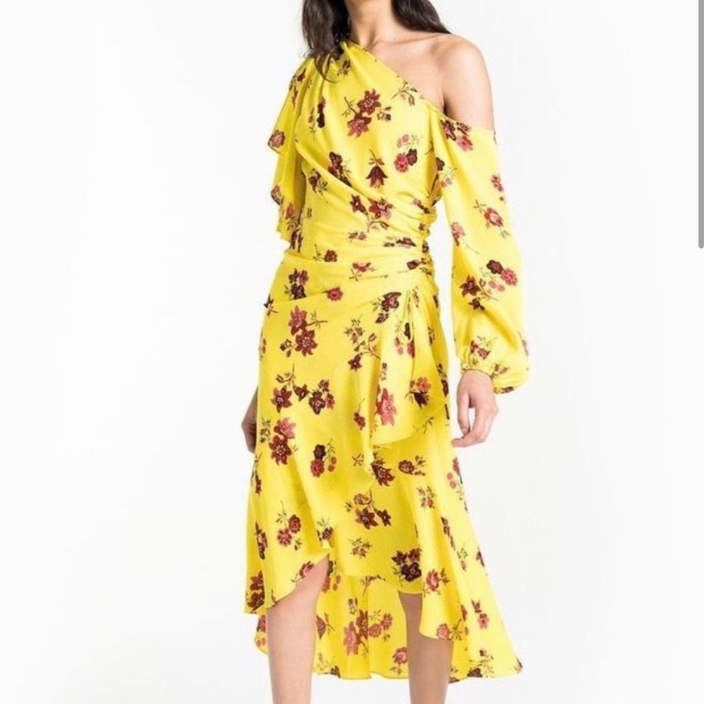 A.L.C. Florence 100% Silk Floral Asymmetrical Maxi Dress - 2‎